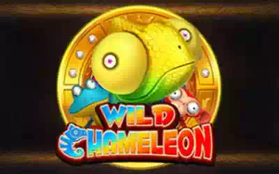 Wild Chameleon